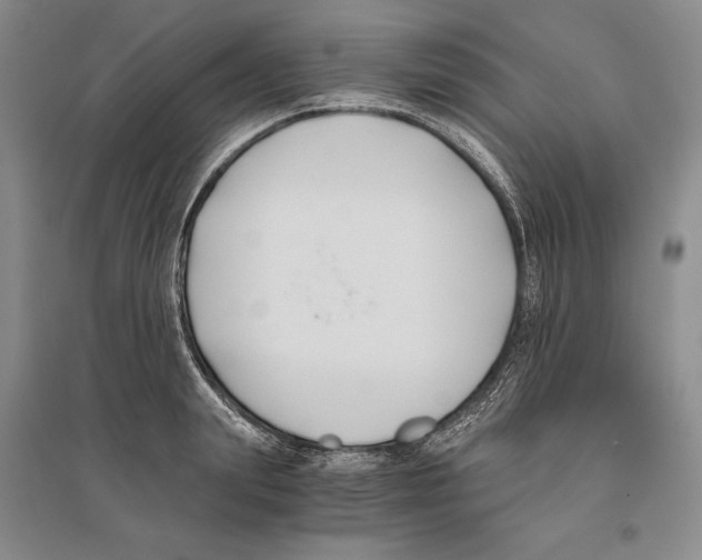 X0000096180847200802151439