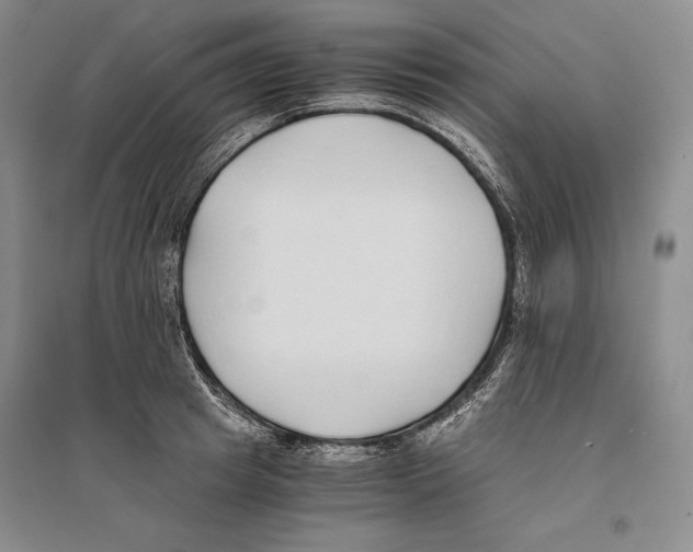 X0000096180849200802151439