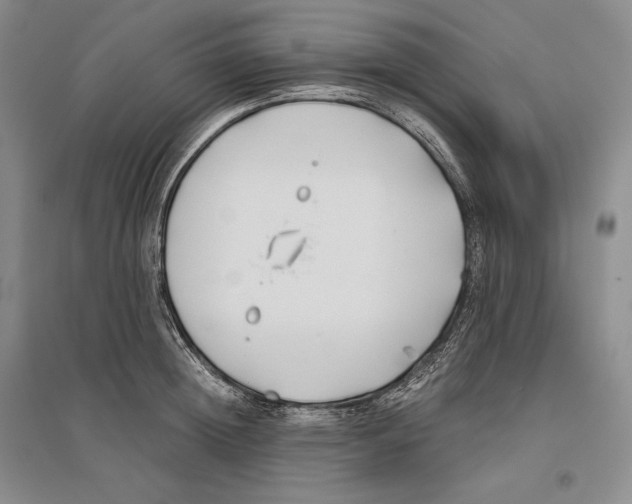 X0000096180852200802151439