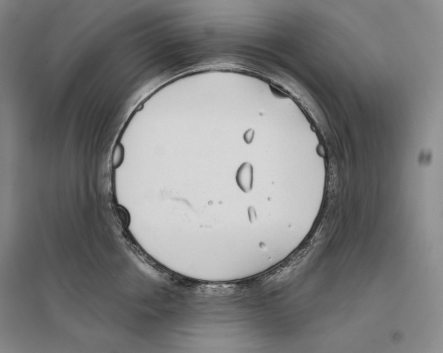 X0000096180858200802151440