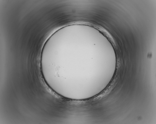 X0000096180860200802151440