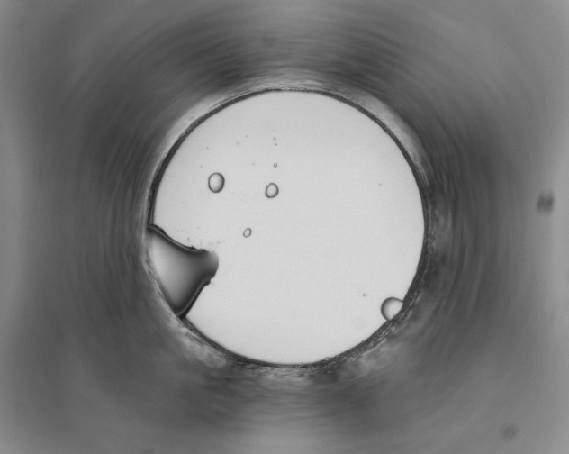 X0000096180861200802151440