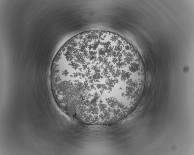 X0000096180863200802151440