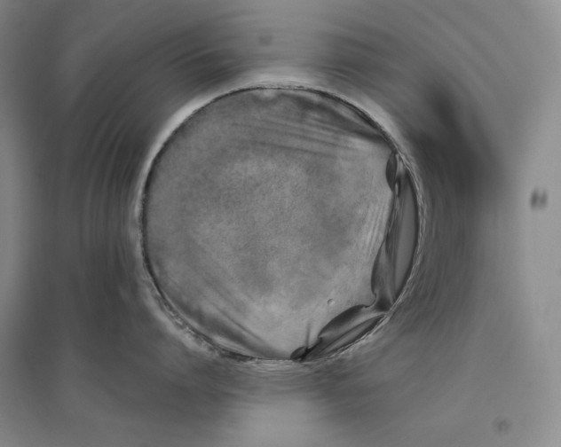 X0000096180864200802151440