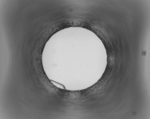 X0000096180865200802151439