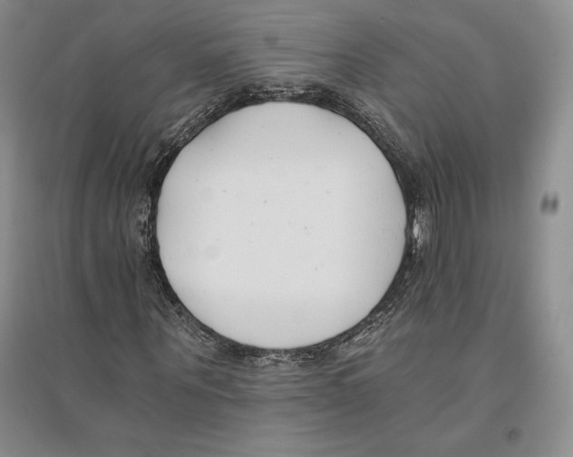 X0000096180867200802151439
