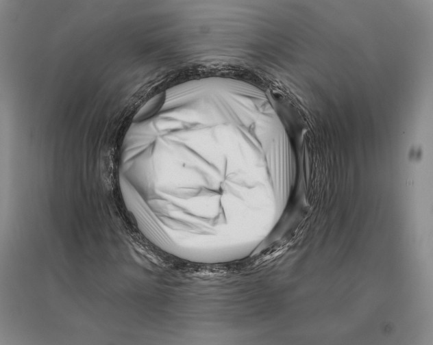 X0000096180868200802151439