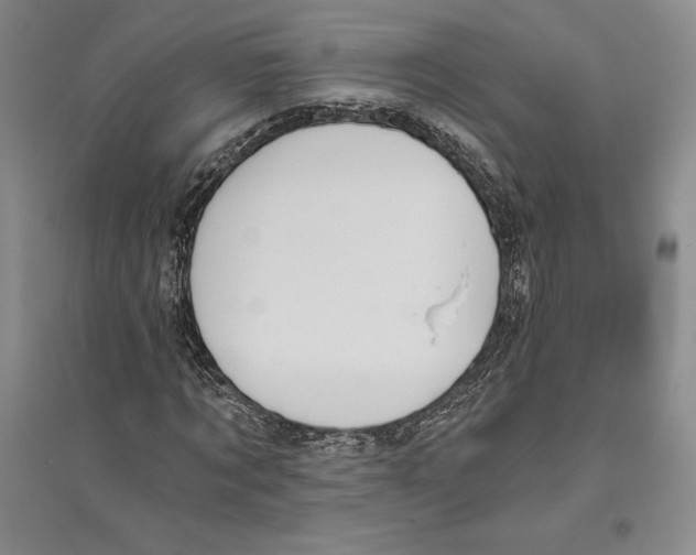 X0000096180869200802151439