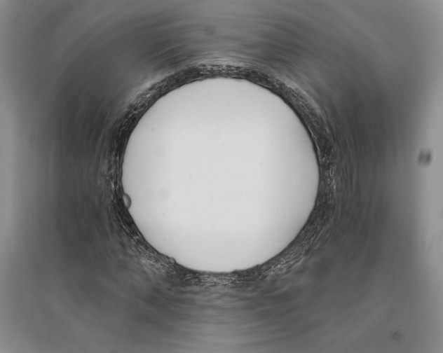 X0000096180870200802151439