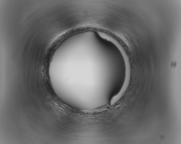 X0000096180872200802151439