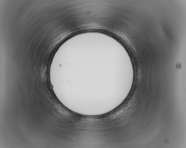 X0000096180873200802151439