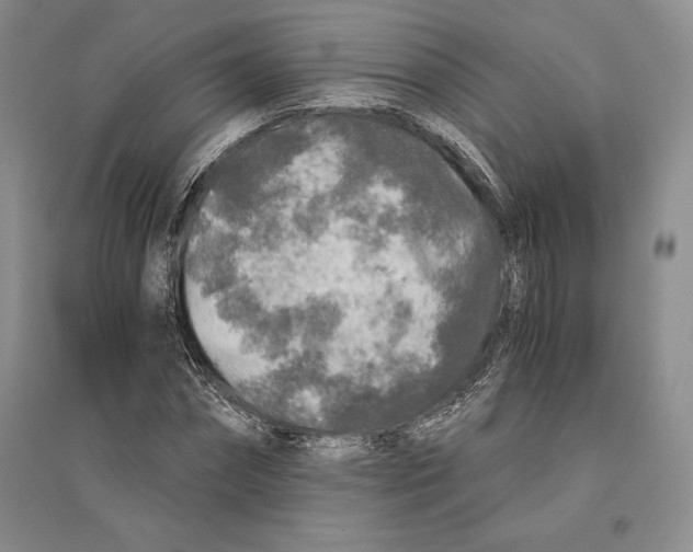 X0000096180874200802151439