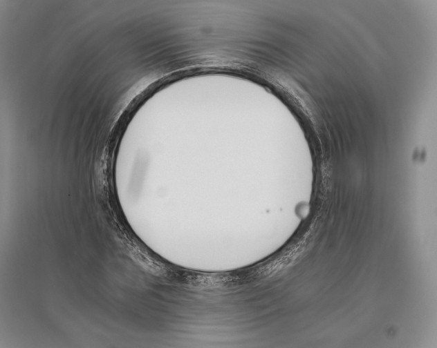 X0000096180875200802151439