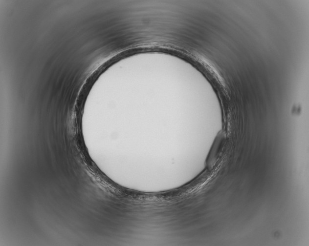 X0000096180876200802151439