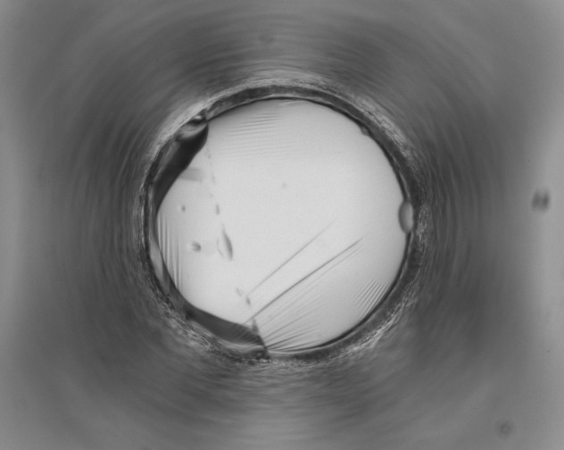 X0000096180877200802151439