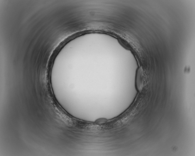 X0000096180880200802151439