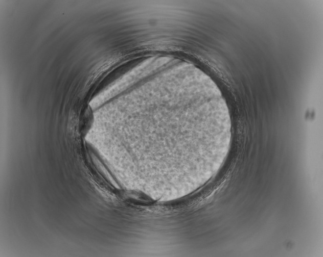 X0000096180881200802151439
