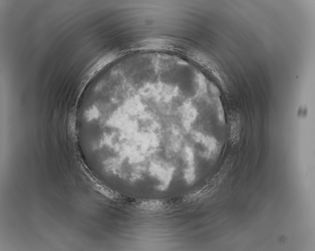 X0000096180882200802151439
