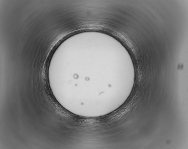 X0000096180883200802151439