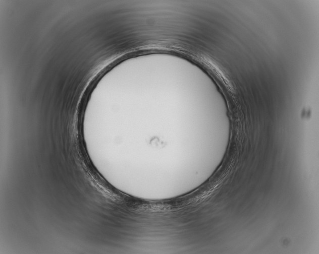 X0000096180884200802151439