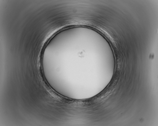 X0000096180885200802151439