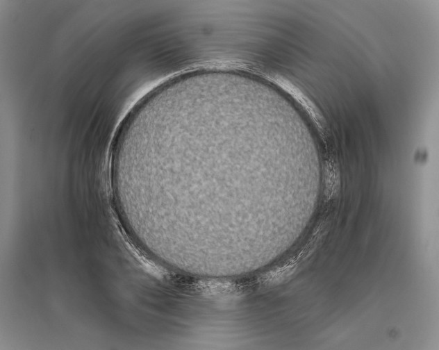 X0000096180886200802151439