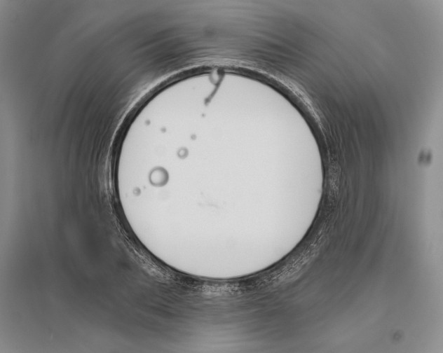 X0000096180887200802151439