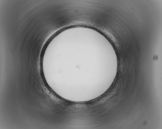 X0000096180888200802151439
