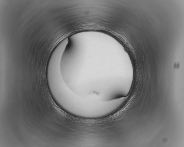 X0000096180889200802151439