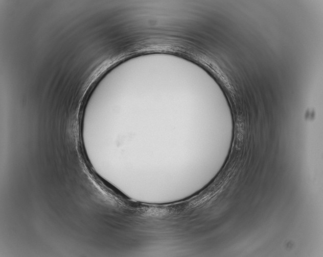 X0000096180890200802151439