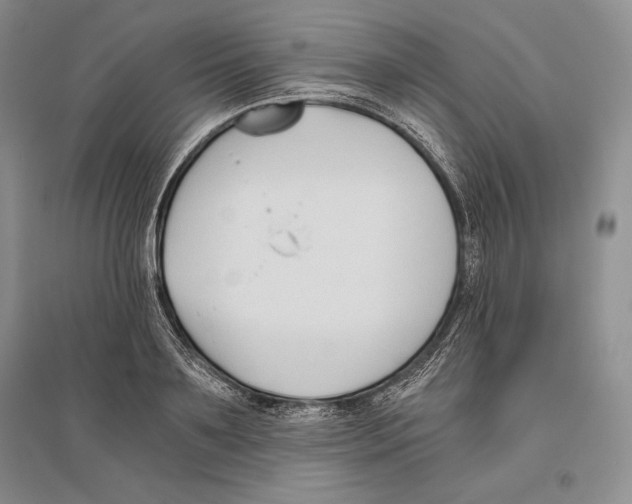 X0000096180891200802151439