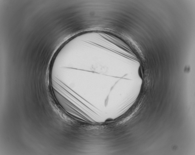 X0000096180892200802151439