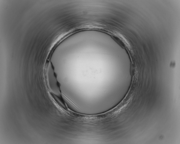 X0000096180893200802151439