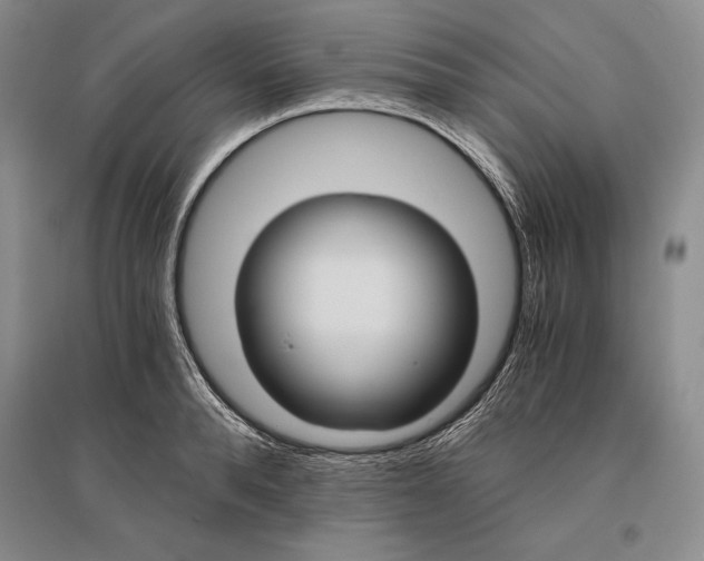 X0000096180896200802151439