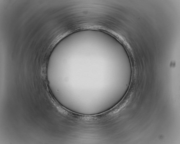 X0000096180897200802151439