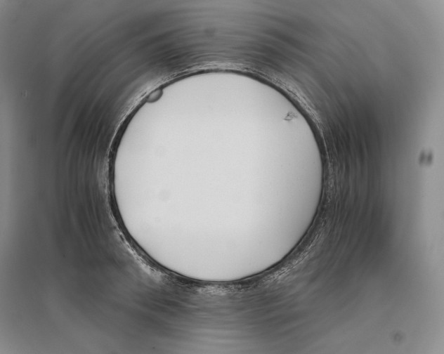 X0000096180898200802151439