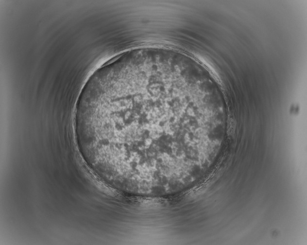 X0000096180899200802151439
