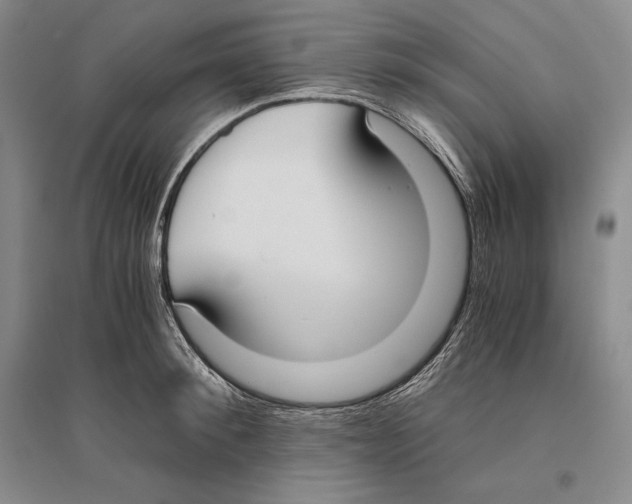 X0000096180900200802151438