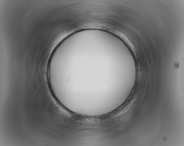 X0000096180901200802151438