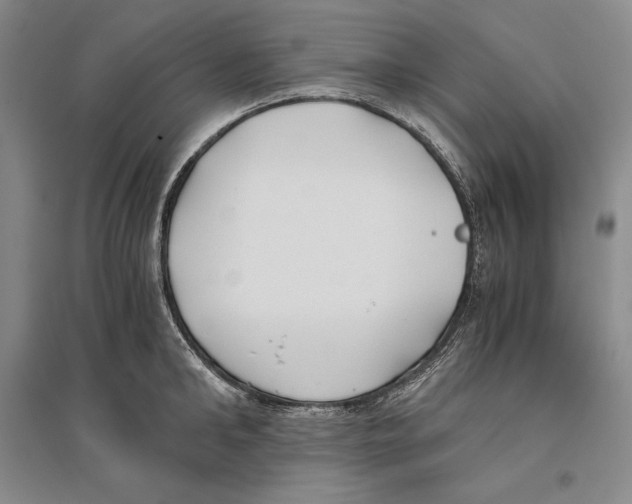 X0000096180902200802151438