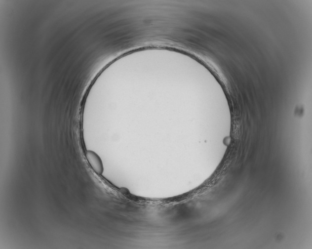 X0000096180903200802151438