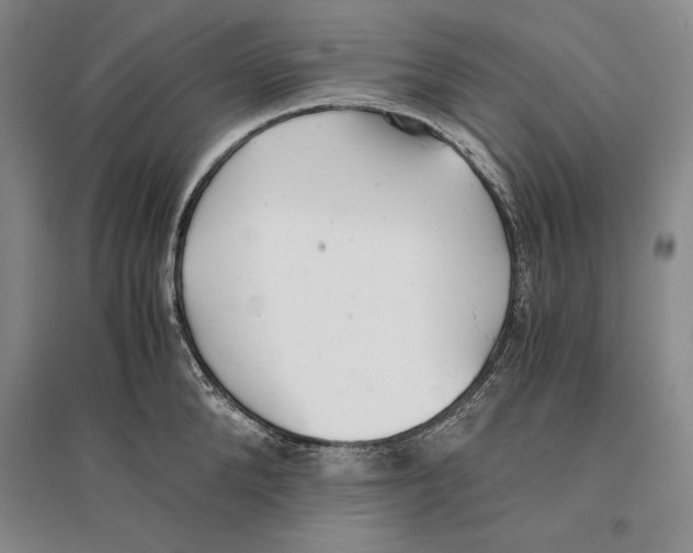 X0000096180904200802151438