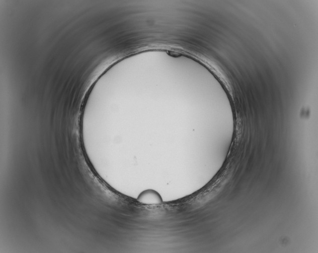 X0000096180906200802151438