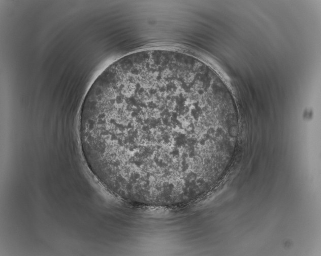 X0000096180907200802151438