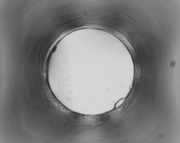 X0000096180908200802151438