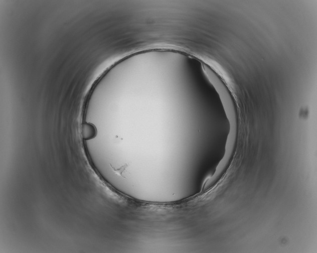 X0000096180910200802151438