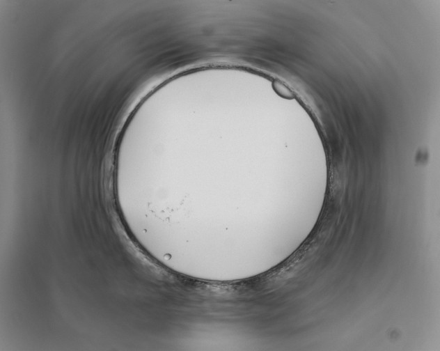 X0000096180911200802151438