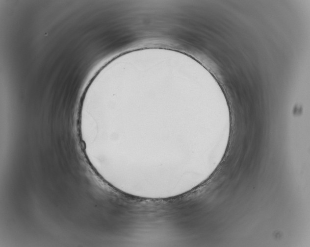 X0000096180912200802151438