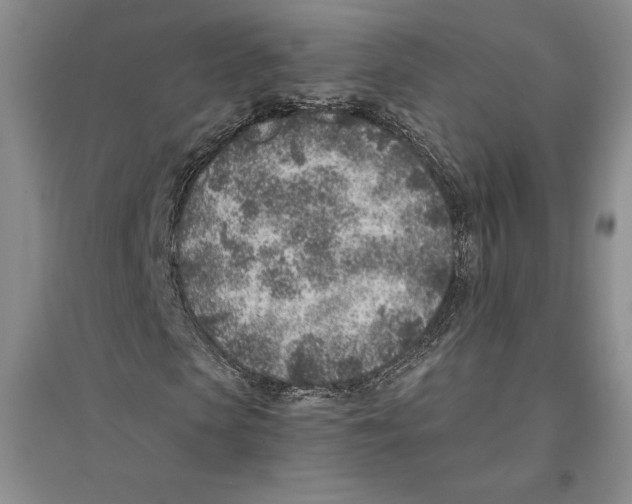 X0000096180913200802151438