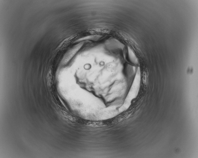 X0000096180915200802151438